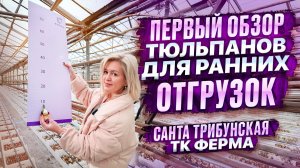 ПЕРВЫЙ ОБЗОР ДЛЯ РАННИХ ОТГРУЗОК 2026