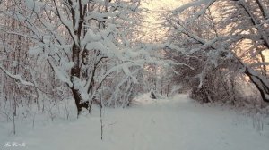 Живая Природа 6 - 2026 г.