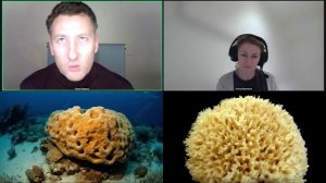 203   ХИРАЛЬНОСТЬ 9 КРУГОВ АДА ДАНТЕ МОРСКАЯ ГУБКА ГРИБЫ МЫСЛЕОБРАЗЫ ЧЕЛОВЕКА И ЧЕРНОЗЕМ