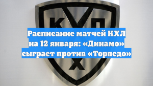 Расписание матчей КХЛ на 12 января: «Динамо» сыграет против «Торпедо»