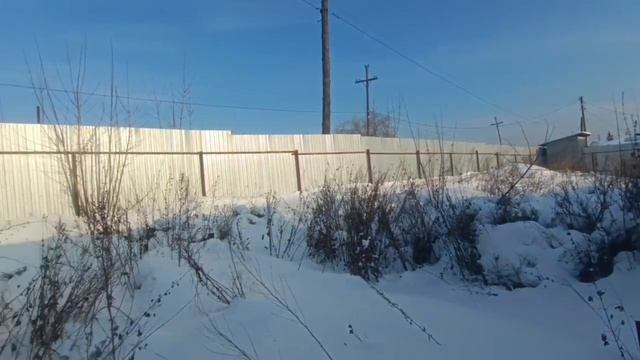 video5415588726690583646