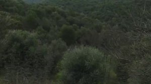 Времена и воины 2 сезон 7 серия (документальный сериал, 1994)