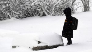 В отдельных районах Приморья за два дня была превышена месячная норма снега