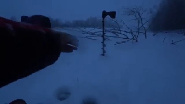 МОРМЫШКА ПЧЕЛКА...ПОПАЛА НА ХАПОК!!! Зимняя рыбалка 2026 смотреть онлайн