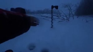 МОРМЫШКА ПЧЕЛКА...ПОПАЛА НА ХАПОК!!! Зимняя рыбалка 2026