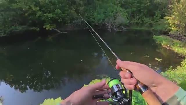 ВСЁ БЫЛО ХОРОШО, НО ТУТ ПРОИЗОШЛО СТРАШНОЕ И РУКИ В КРОВИ! Рыбалка на лесной реке смотреть онлайн