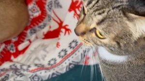 Всем самого доброго вечера и самой спокойной ночи.