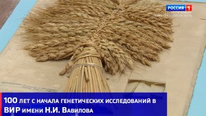 100 лет с начала генетических исследований в ВИР имени Н.И. Вавилова