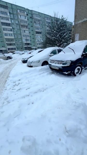 Снегопад в Москве! Апокалипсис! #зима #зимавмоскве #2026 #замело   #automobile #снег #дуракиидороги смотреть онлайн