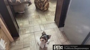 Сделал дело👌гуляй смело!!!🫶💃🇷🇺