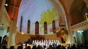 VID_20260111_220602.mp4