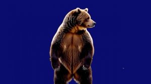 Чем бы заняться_encoded