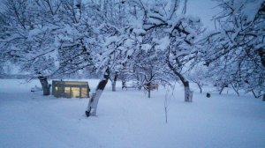 Зимний отдых в деревне и новые проблемы НИВЫ.