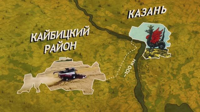 Кайбицкий район