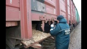 На польской границе украинский поезд задержали на 9 часов из-за контрабанды