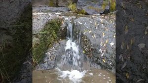 Таёжный водопад