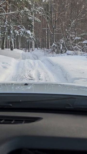 Renault Duster лютый проходимец #shorts смотреть онлайн