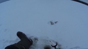 Поиск рыбных мест со спутника. Ермиловская бухта 12.1.26.