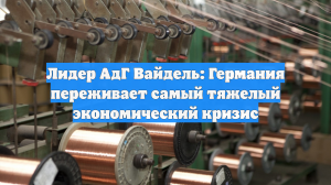 Лидер АдГ Вайдель: Германия переживает самый тяжелый экономический кризис