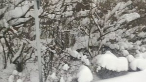 ГОСПОДИН Х🤷 ПОДАЛ ЖАЛОБУ 😱 в ПОЛИц-Ю на 🌹Н-ДА💯🫢.ТЕСТИРУЮ ЛАМПУ👍👍👍