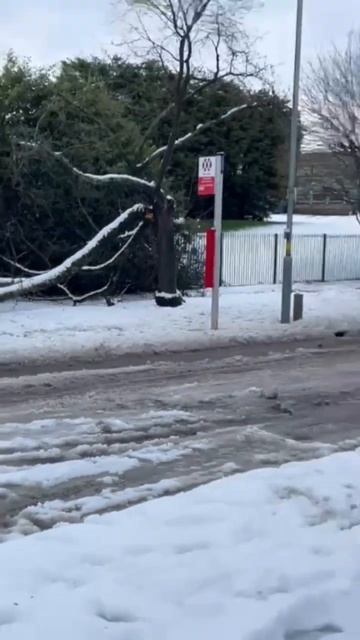 Снежный денёк смотреть онлайн