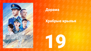 Храбрые крылья 19 серия