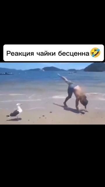 Они реально над нами угорают 🤣 смотреть онлайн