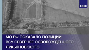 МО РФ показало позиции ВСУ севернее освобожденного Лукьяновского