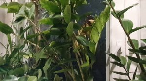 Кого теперь винить...