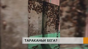 Сначала бегали по подъезду, а затем перебрались в квартиры