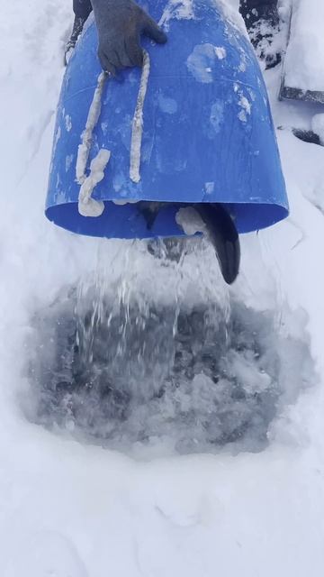 Запуск форели смотреть онлайн
