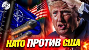 Трамп против НАТО