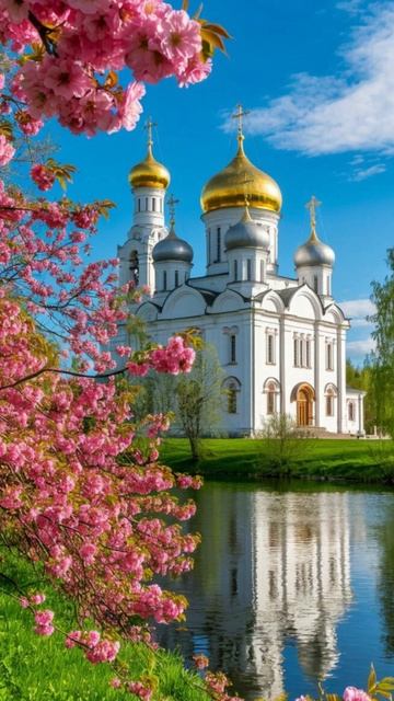 Душевный лекарь#Церковь#shortvideo#shorts#Молитва#Православие смотреть онлайн