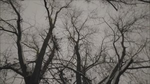 День засыпает.