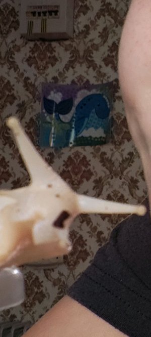 просто вечер