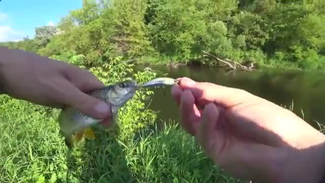 РЫБАЛКА СРЕДИ КОРЯГ НА РАЗНУЮ РЫБУ! ДИКИЕ ПОКЛЁВКИ, АЖ ДО МУРАШЕК! Рыбалка летом 2025. смотреть онлайн