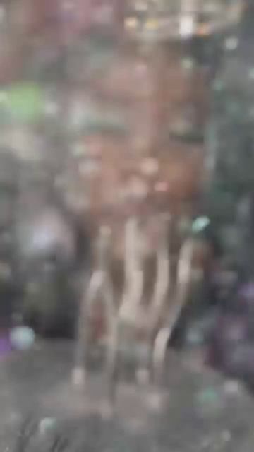 Королева в здании 🔥🫶🏽 смотреть онлайн