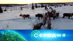 «Сегодня»: 12 января 2026 года. 19:00 | Выпуск новостей | Новости НТВ