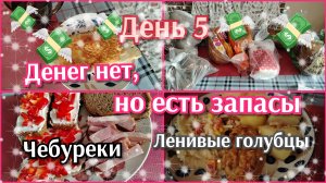 Денег нет, но есть запасы//день 5