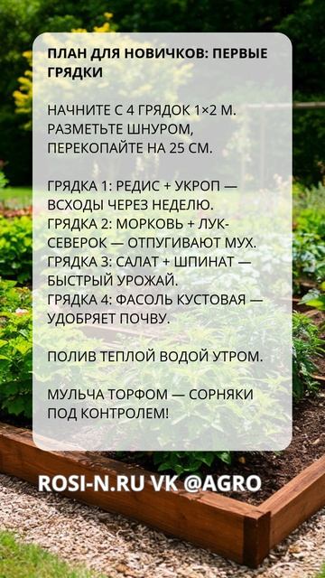 План для новичков: первые грядки