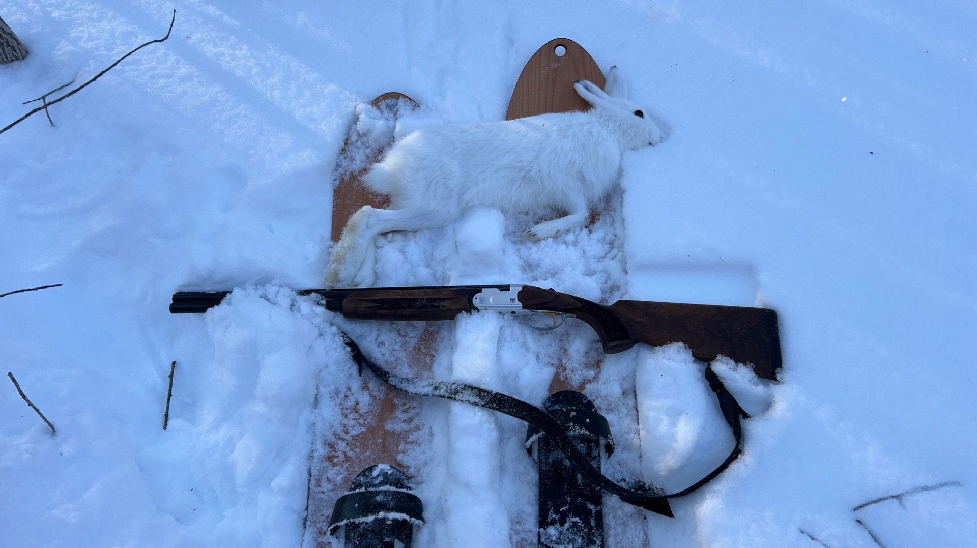 Есть контакт!😁Двадцатка не подвела! смотреть онлайн