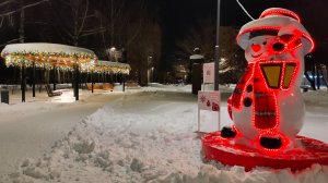 Красота в зимнем парке / Достопримечательности города Дубна