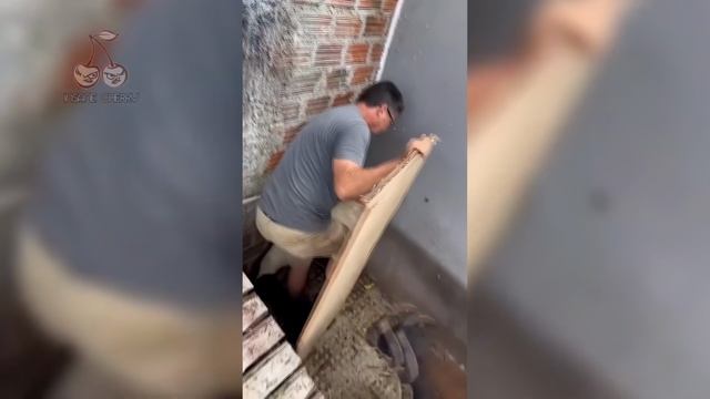 Limp Bizkit - Rollin_ (Animal Cover [4K]