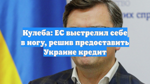 Кулеба назвал «выстрелом в ногу» решение ЕС о транше Киеву €90 млрд