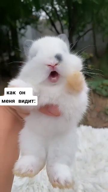 ты-знаешь-кому-отправить