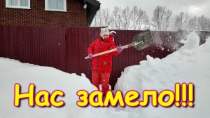 Подготовка к Рождеству. Отдали Фисташку. Море снега. Плачу. (01.26г.) Семья Бровченко.
