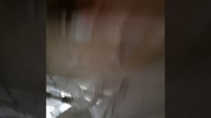 утренний влог