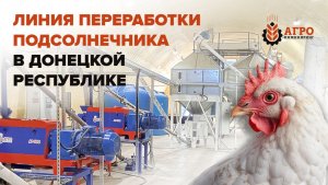 Переработка подсолнечника в Донецкой республике. Свое сырье для птицефабрики.