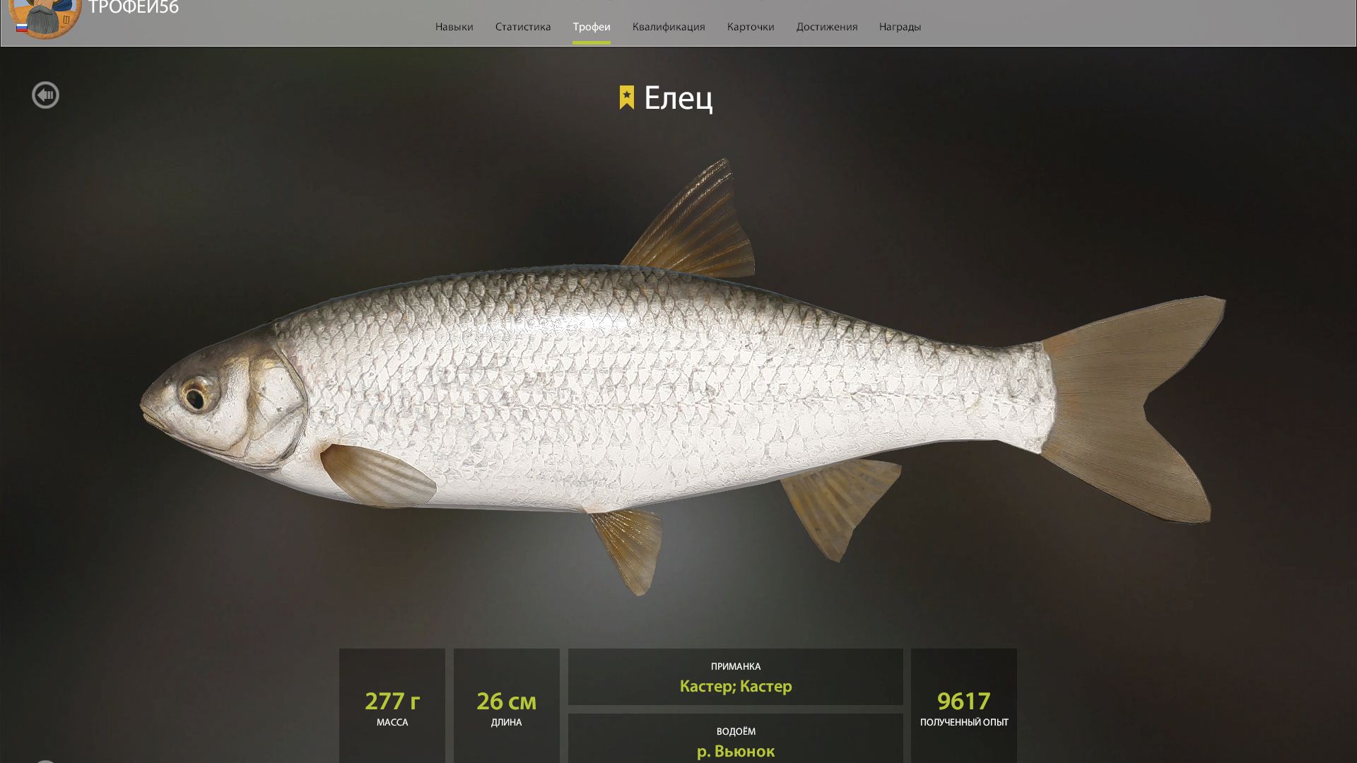 ЕЛЕЦ И УКЛЕЙКА ТРОФЕЙНЫЕ!!!РЕКА ВЬЮНОК - РУССКАЯ РЫБАЛКА 4 смотреть онлайн