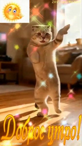 Доброе утро!) Яркого дня!) #доброеутро смотреть онлайн